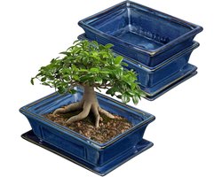 Set van 2 keramische bonsai potten met onderzetters en drainagegaten voor Japanse kamerplanten retro decoratie voor tuincontainers buiten diameter opening 19 cm.