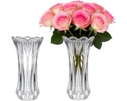 Set van 2 Kristallen Glazen Vazen voor Bloemen - Hoge Cilinder Vazen 24 cm