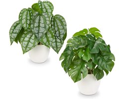 Set Van 2 Kunstplanten 28 cm In Pot - Decoratieve Nepplanten Voor Binnen - Bloemdecoratie Voor Huis-En Kantoor-Tafel-En Bureaudecorati