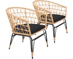 Set van 2 kunststof rotan fauteuils met kussens AIKO