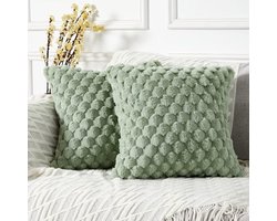 Set van 2 kussenhoezen – Ultrazachte pluche kussenslopen – Hoezen voor sierkussens met ananasstructuur – 40x40 cm – Geschikt voor banken en bedden – Ideaal voor de woonkamerinrichting