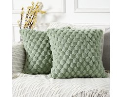 Set van 2 kussenhoezen – Ultrazachte pluche kussenslopen – Hoezen voor sierkussens met ananasstructuur – 40x40 cm – Geschikt voor banken en bedden – Ideaal voor de woonkamerinrichting