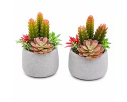 Set van 2 Luxe Kunstplantjes in Pottery Pots Design Pot - Decoratieve Vetplanten - Hotel Chic Woonaccessoire