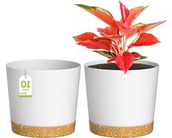 Set van 2 moderne plantenbakken met afvoergaten - plastic bloempotten voor huis en tuin - 25cm - wit - afneembare schotel - vensterbank deco
