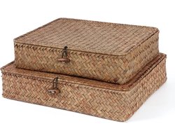 Set van 2 Platte Rietmanden met Deksel - Handgeweven Zeegras Opbergdozen voor Planken en Woondecoratie