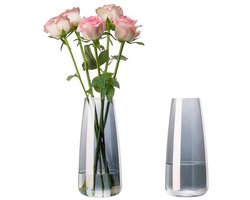 Set van 2 Rookglazen Vazen 22 cm Hoog - Moderne Bloemenvaas voor Tulpen en Rozen