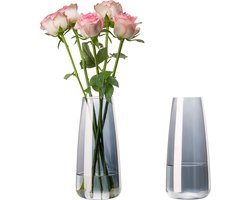 Set van 2 Rookglazen Vazen 22 cm Hoog - Moderne Bloemenvaas voor Tulpen en Rozen