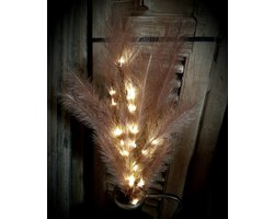 Set van 2 sfeervolle decoratie pluimen / takken oud roze met led verlichting 85 cm 2 x aa | 793664 | Stoer & Sober Woonstijl