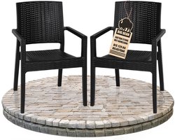 Set van 2 Stapelbare Tuinstoelen met Armleuning in Rotan-look