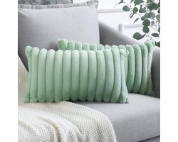 Set van 2 zachte pluche fluwelen kussenhoezen voor bank en slaapkamer - Decoratieve kussensloop voor thuis en auto - Lichtgroen - 30 x 50 cm