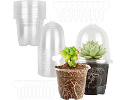 Set van 20 Transparante Kweekpotten van 15,5 cm met Afvoergaatjes, Ideaal voor Zaailingen, Inclusief 20 Vochtige Kappen en Plantlabels