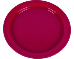 Set van 24 cm Platte Borden van Duurzaam Kunststof - Ideaal voor Buiten en Camping