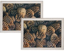 Set van 2x stuks schootkussens/laptrays dennenappel print 43 x 33 cm - Schoottafel - Dienblad voor op schoot dennenappels