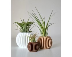 Set van 3 Airplant Pots – Luchtplantenhouders – Earth Trio – Wit, Latte & Bruin – Duurzame woondecoratie