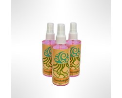 Set van 3 Airplantspray Flesjes – 100 ml Verzorgingsspray voor Tillandsia Luchtplantjes – Voedende Plantenspray – Trendyairplants