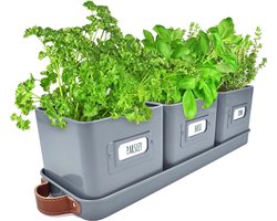 Set van 3 bloembakken in de vensterbank van metaal met lederen handvatten - ideale kruidenpot & bloempot voor de kruidentuin binnenshuis, kamerplanten, bloemen en specerijen met plank, kleur: antraciet