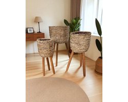 set van 3 bloempotten van zeegras op poten