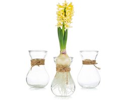Set van 3 Glazen Vazen voor Bloemen met Koord - Creatieve Bloemenvazen voor Bruiloften, Thuisdecoratie en Tuinaccessoires