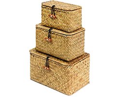 Set van 3 handgeweven zeegras opbergmanden met deksel - Multifunctionele rieten manden voor bureau organizatie