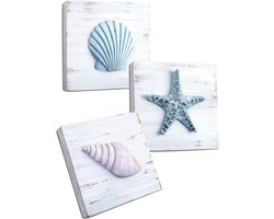 Set van 3 Houten Wanddecoratie met Zeeschelpen en Zeesterren | Rustieke Kustdecoratie voor Badkamer of Woonkamer