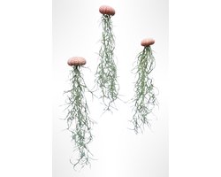 Set van 3 Jelly-fish met roze zee-egels en Spaans mos/hangplant/kwalletjes/handgemaakt/plant/kamerplant/makkelijke plant