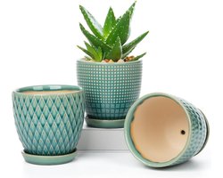 Set van 3 Keramische Plantenpotten - Ronde Succulentpot met Afvoergat en Keramieken Kom voor Binnen Buiten Tuin Raamrand - Diameter 11.2 cm