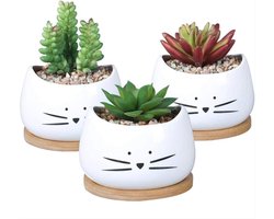 Set Van 3 Kleine Bloempotten Voor Cactussen - Cactussen - 3 Stuks - Kleur: Multicolor - Materiaal: Keramiek