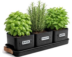Set van 3 Kruidenpotten - Ideaal voor een kruidentuin, planten en bloemen binnenshuis, Inclusief labels