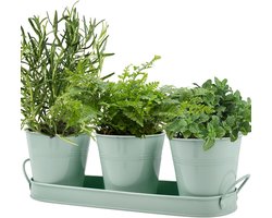 Set van 3 kruidenpotten van metaal - kruidentuin met dienblad - kruidenpot keuken - kruidenpotten voor binnen en buiten - plantenpotten voor kruiden - basilicum - munt - peterselie - verse kruiden thuis - tuinaccessoires