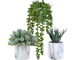 Set van 3 Kunstvetplanten in Marmeren Pot - Sierplanten voor Binnen & Buiten