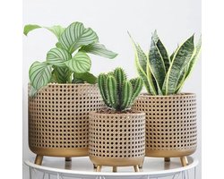 Set van 3 Metalen Plantenpotten met Hol Ontwerp voor Binnen en Buiten