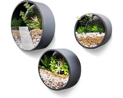 Set van 3 Metalen Ronde Muur Plantenbak - Hangend - Voor Binnen - Woondecor - Plantenbak voor Cactus en Vetplanten - Sappig Mos - Donkergrijs - 10cm dik Flower Hanger
