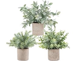 Set van 3 mini-kunstplanten in pot – Kunststof eucalyptusplanten en topiary's voor decoratie in huis, op kantoor, op het bureau, op planken, in de kamer of badkamer (Saliegroen)