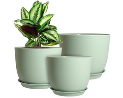 Set van 3 moderne decoratieve plantenpotten met drainagegaten en schotels