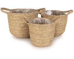 Set van 3 Natuurlijke Plantenbakken voor Binnen - Premium Zeegras Manden met Voering voor Kleine en Middelgrote Planten