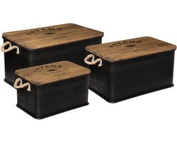 Set van 3 opbergkisten van metaal en hout LEONIE