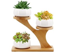 Set van 3 ronde keramische vetplantenpotten met bamboe schotels - Ideaal voor cactus, vetplanten en kleine planten - Moderne thuiskantoor- en vensterbankdecoratie