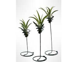Set van 3 Staande Spiralen met Tillandsia Capitata Peach – Handgemaakte Luchtplant Houdertjes – Decoratieve Tafeldecoratie – Trendyairplants/moederdag/kado voor mama/mamma/moederdagidee/kadotip/voor mamma/moederdagcadeau