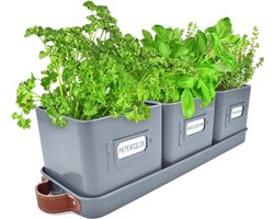 Set van 3 vensterbank bloembakken gemaakt van metaal met leren handvatten - Ideale kruidenpot en bloempot voor binnentuin, kamerplanten, bloemen en kruiden met plank, Kleur: Houtskool