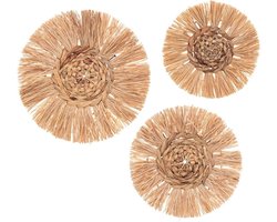 Set van 3 wanddecoraties