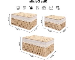 Set van 3 Woven Opbergmanden met Deksel, Rieten Mand met Natuurlijke Papieren Touw en IJzeren Frame, Organizer Box voor Badkamer, Slaapkamer en Planken met Verwijderbare Voering