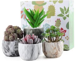 Set van 4 keramische bloempotten 8,5 cm marmering succulente pot kleine cactus plantenpot met afvoergat voor thuiskantoor balkondecoratie