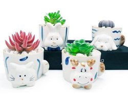 Set van 4 Kleine Dieren Potjes voor Cactus en Succulenten met Afwateringsgat
