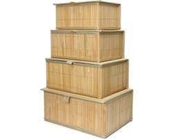 Set van 4 Rietmanden met Deksel - Rechthoekige Opbergdozen voor Woonkamer en Slaapkamer