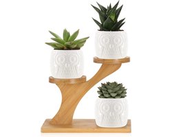 Set van 4 Succulenten Potten met Standaard - Kleine Porseleinen Uil Bloempotten - Plantenbakken met Bamboe Standaard - Plantenbak