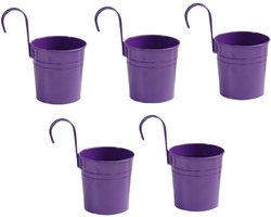 Set van 5 Hangende Bloempotten van Metaal - IJzeren Emmer Plantenbak voor Binnen en Buiten, Perfect voor Balkon en Tuin Decoratie
