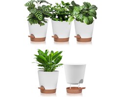 Set van 5 kruidenpotten, zelfwatergevend, 6 inch zelfwatergevende pot met schotel, bloempotten met bewateringssysteem voor kruidentuin, keuken, balkon, tuin, binnen