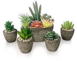 Set van 5 kunstplanten - voor woon- en bureaudecoratie