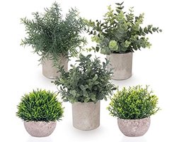 Set van 5 Mini Kunstplanten in Pot - Levensachtige Kunstmatige Planten Decoratie voor Binnenhuis - Eucalyptus en Rozemarijn Stijl - Onderhoudsvrije Groene Planten voor Huis, Kantoor en Balkon