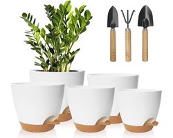 Set van 5 zelfbewaterende bloempotten met onderzetter - Kunststof, rond, voor binnen en buiten - Ideaal voor kamerplanten, cactussen en vetplanten